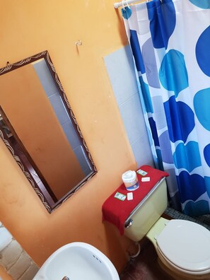 A bathroom with a toilet, a sink, a mirror, and a shower curtain. - Hotel Los Naranjos (Juayua)