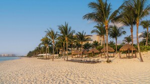 A beach with lounge chairs and palm trees.