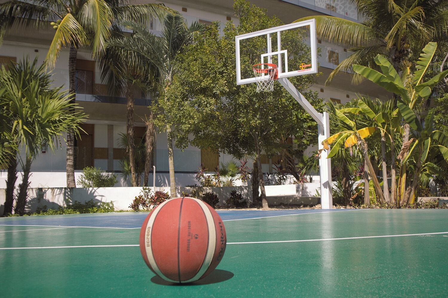Un terrain de basket avec un panier et un ballon, entouré de palmiers et d’un immeuble doté de balcons.
