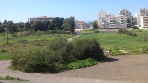 Unclassified image, 2 of 8, button - Makenzy 3 (Larnaca)