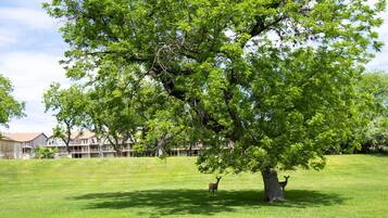 Condo, 2 Bedrooms | Golf