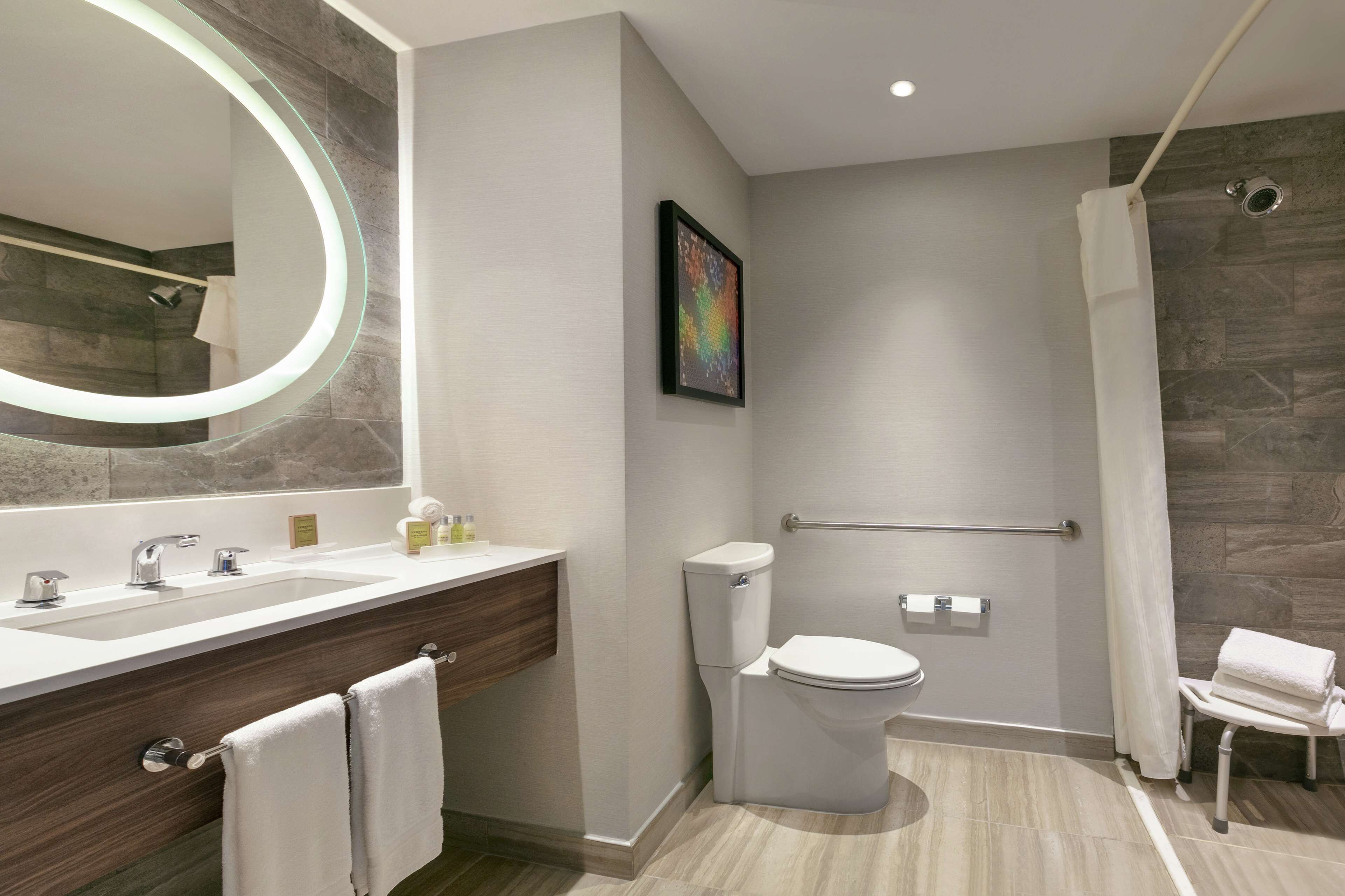 studio, 1 queen bed, accessible (mobility & hearing, roll-in shower) | bathroom | shower, free toiletries, hair dryer, towels