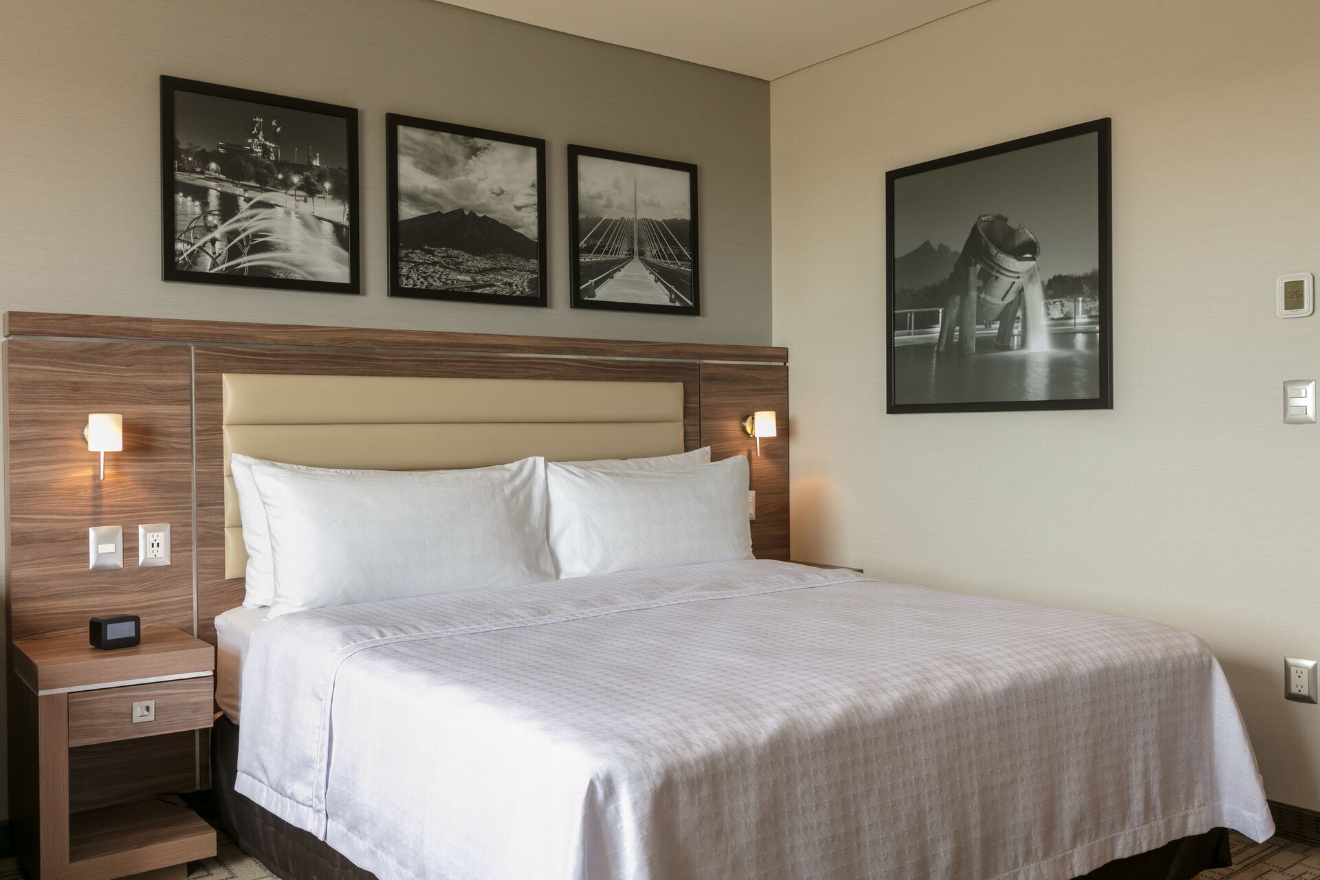 suite, 1 king bed, refrigerator | in-room safe, desk, iron/ironing board, free wifi
