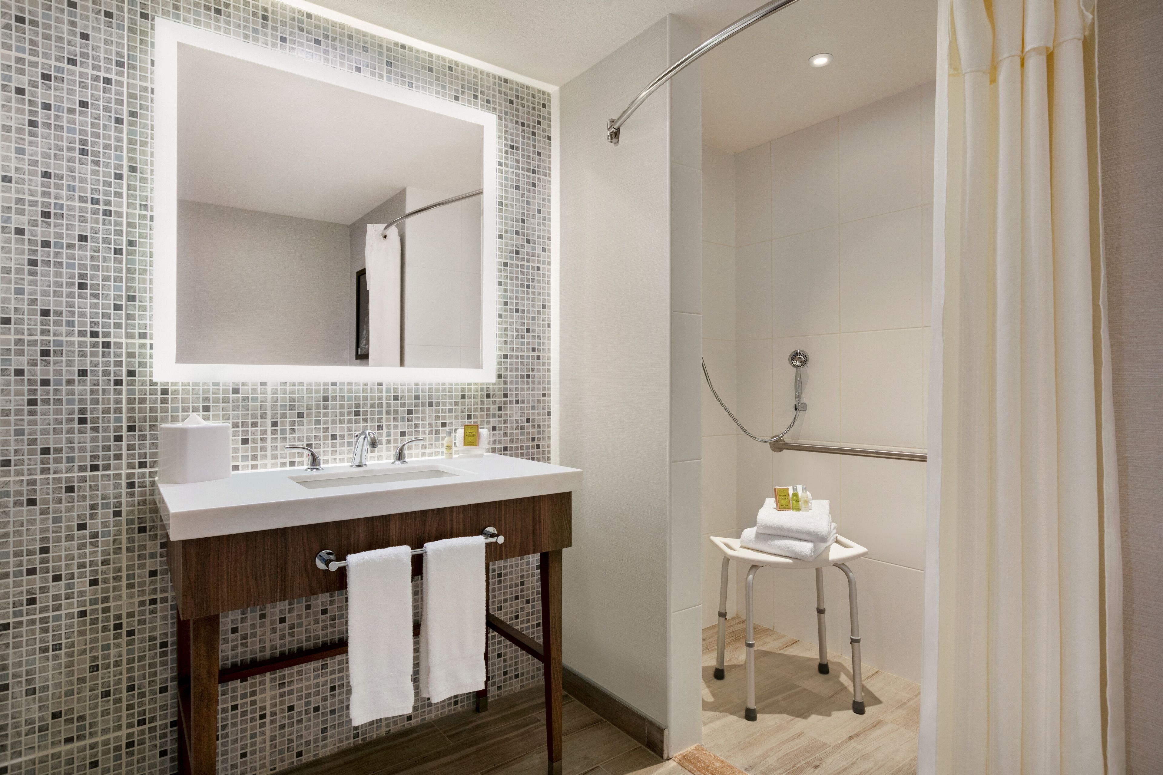 room, 1 king bed, accessible (mobility & hearing, roll-in shower) | bathroom | free toiletries, hair dryer, towels