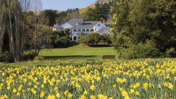 A large house with a well-maintained lawn and a field of yellow flowers in the foreground.
