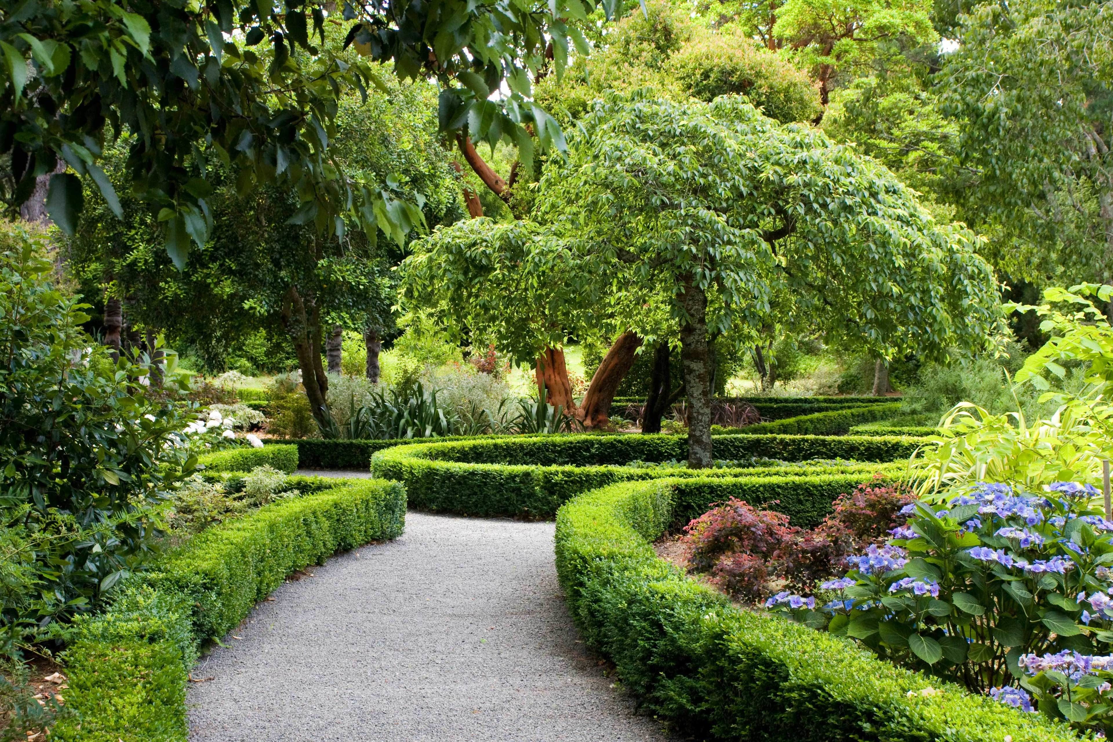 Un sendero en un jardín, bordeado por setos y árboles podados.
