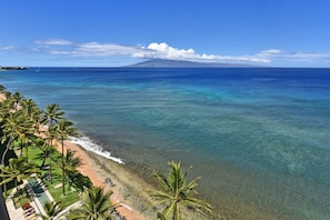 Beach - Mahana Resort #1205 1 Bedroom Condo by RedAwning (Lahaina)