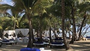 Eine Strandlounge mit Liegestühlen, Palmen und Blick aufs Meer.