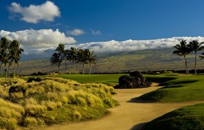Condo, 2 habitaciones | Golf