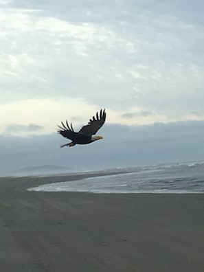 On the beach