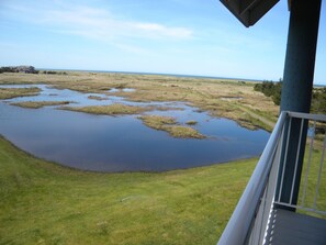 Standaard kamer, 1 queensize bed, koelkast & magnetron | Exterieur