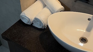 Executive Room | Bathroom