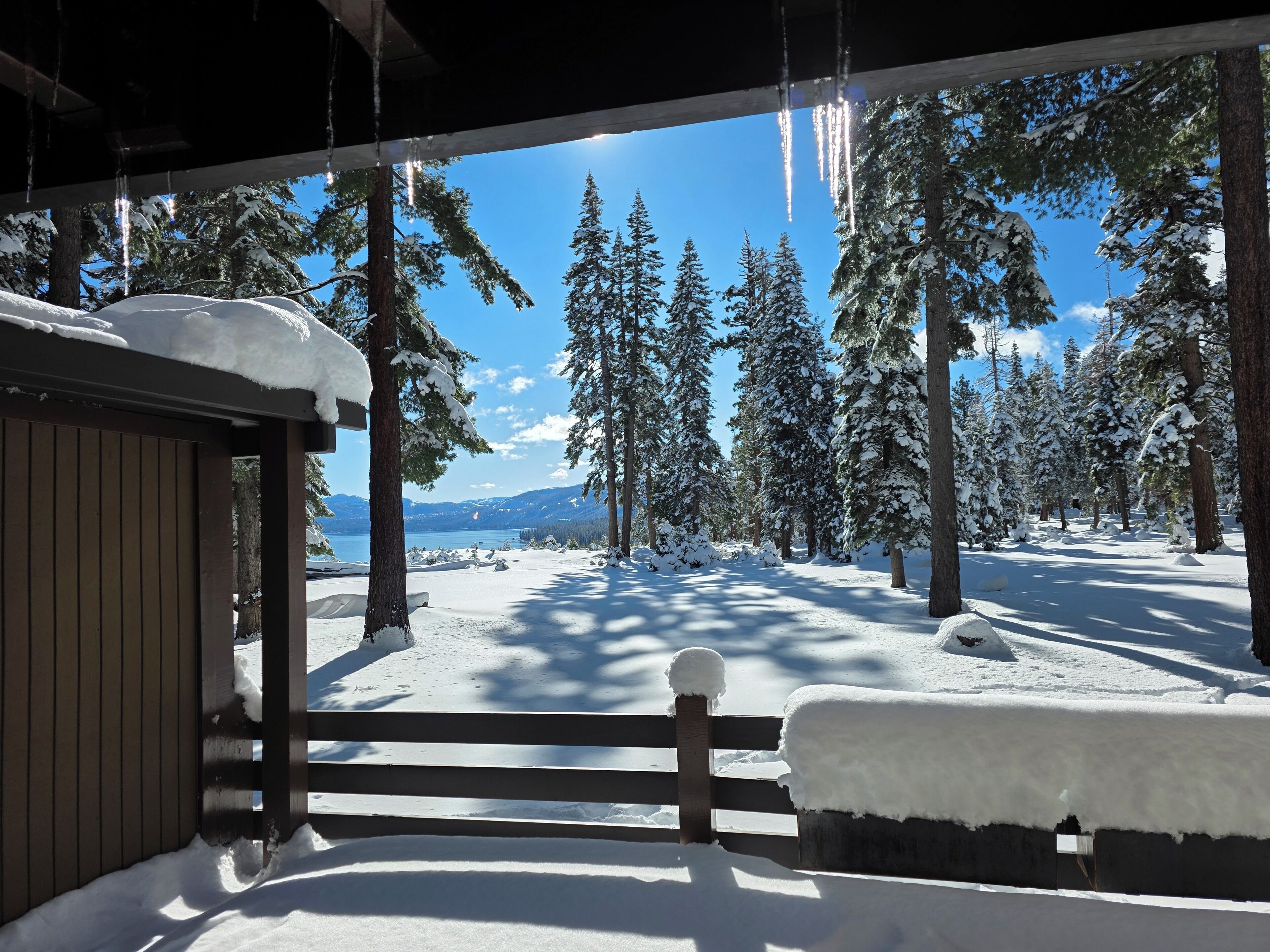Bosque cubierto de nieve con una cabaña de madera y vistas a montañas distantes.