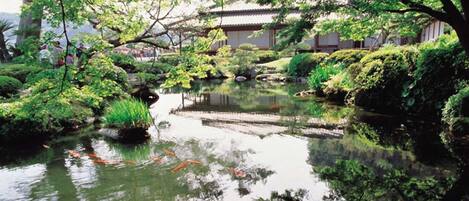 Vue depuis l’hébergement