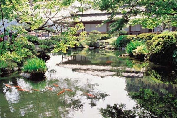 Vista desde la propiedad