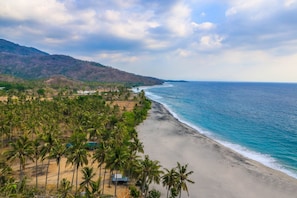 Una playa con palmeras y vista al océano.