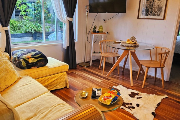 Smart TV, DVD player, books