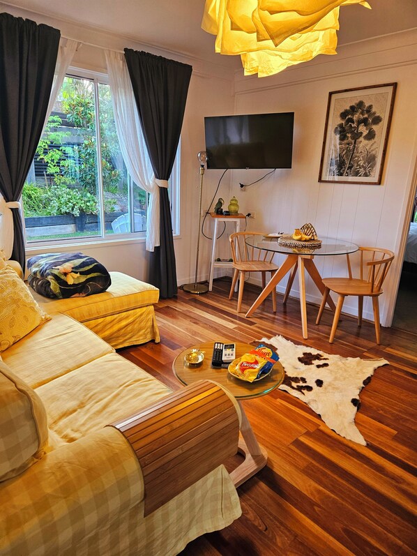 Smart TV, DVD player, books