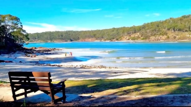 Un banc sur une plage, offrant une vue dégagée sur l’océan et sur une colline boisée en arrière-plan.