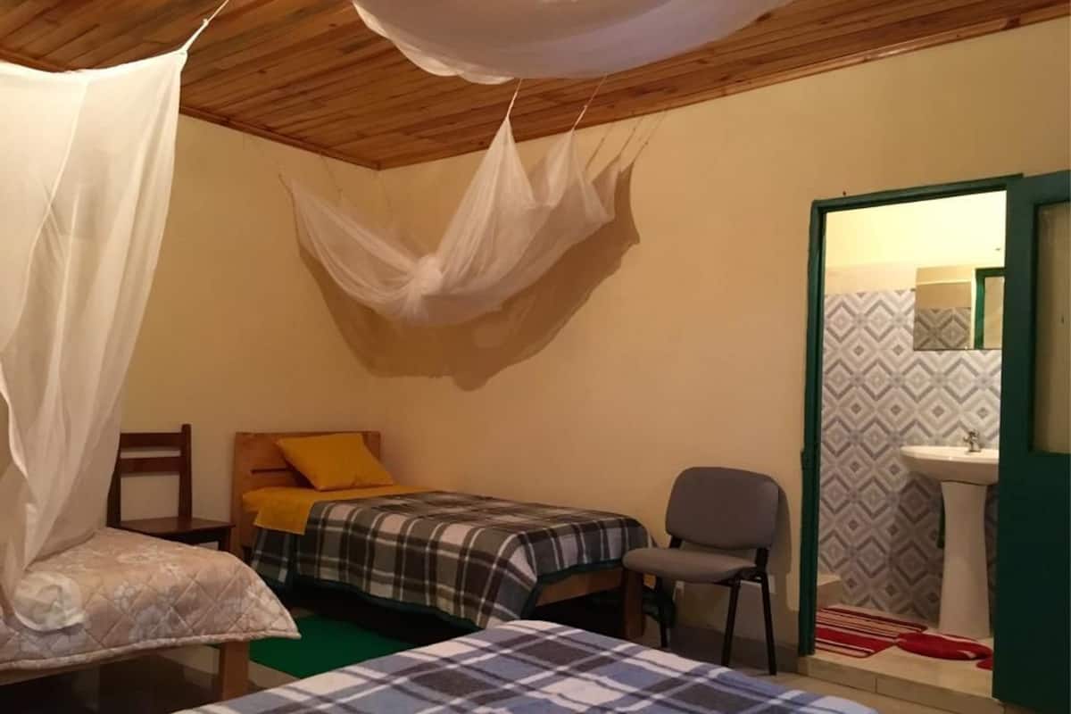 Un dormitorio con dos camas, una silla, una mesita de noche, un espejo y un baño con un papel tapiz decorativo.