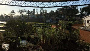 A view from a covered balcony overlooking a garden with various plants and a small pond.
