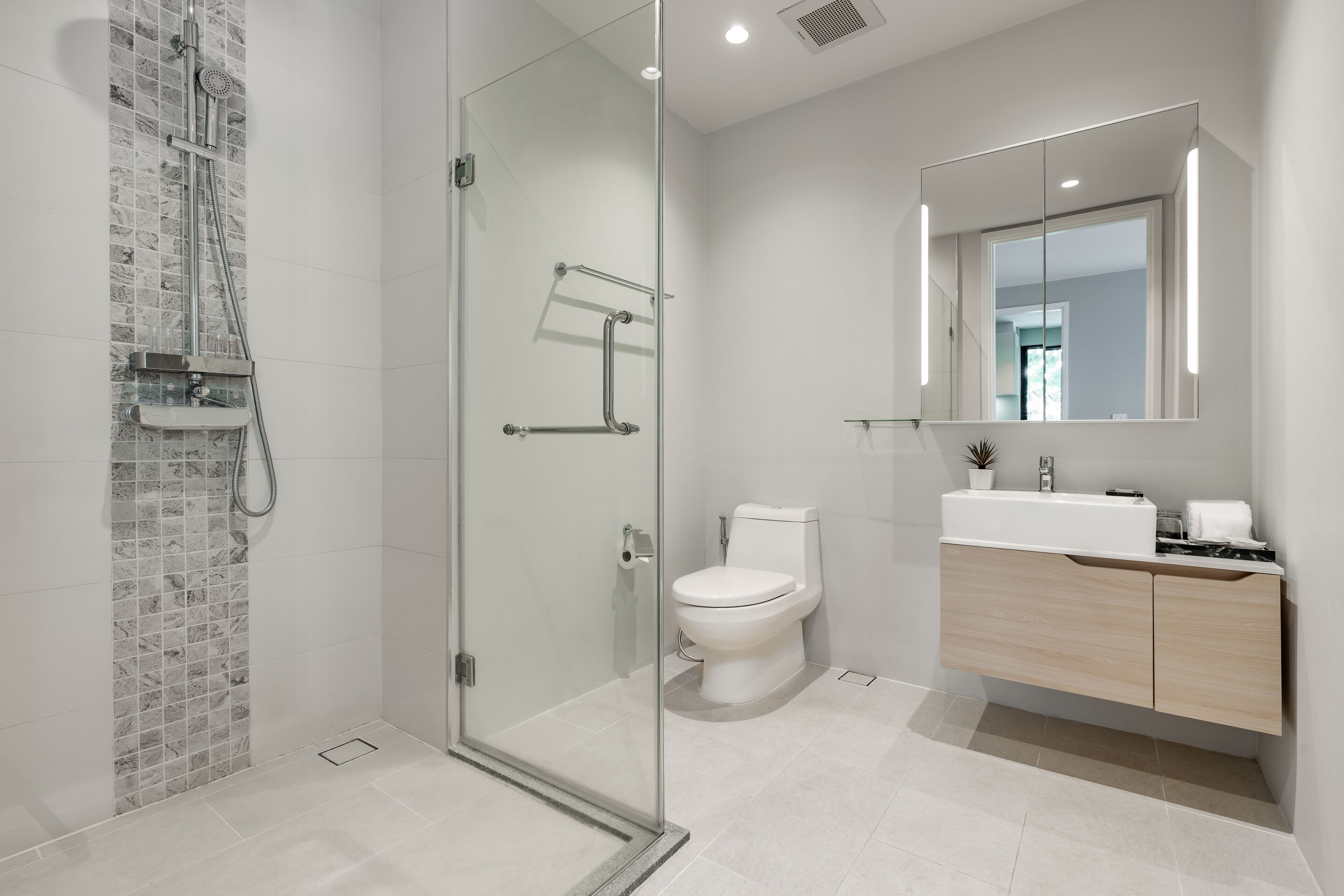 A modern bathroom with a glass shower enclosure, a toilet, and a vanity with a mirror.