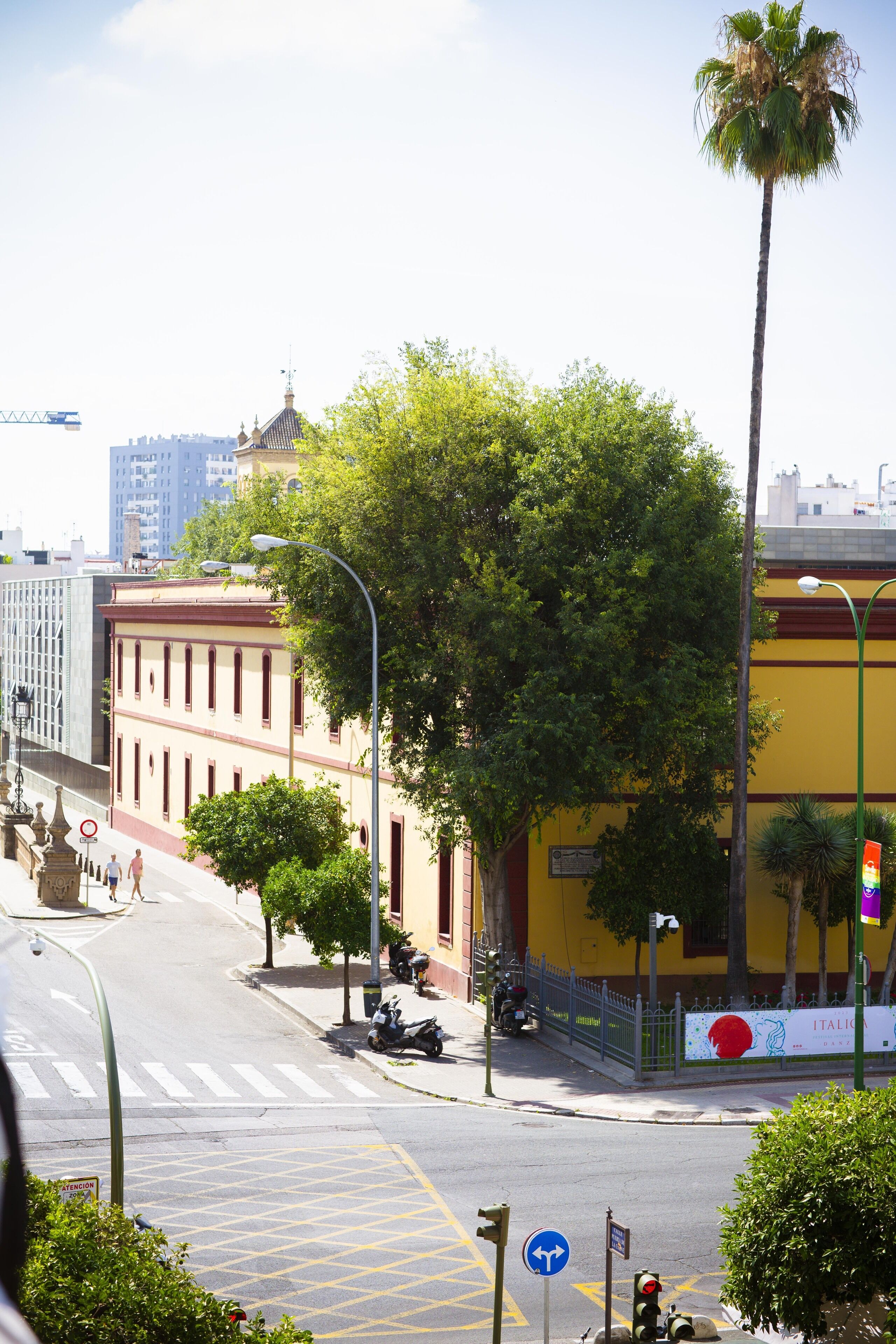 A street view with a yellow building, palm trees, and a pedestrian crossing.