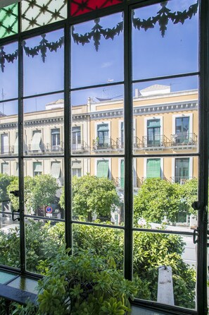 A view through a window with a grid pattern, reflecting buildings and greenery. - Pensión dulces sueños (Seville)