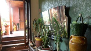 Habitación con un espejo grande que refleja un umbral, plantas en macetas y una cesta de mimbre sobre una mesa.