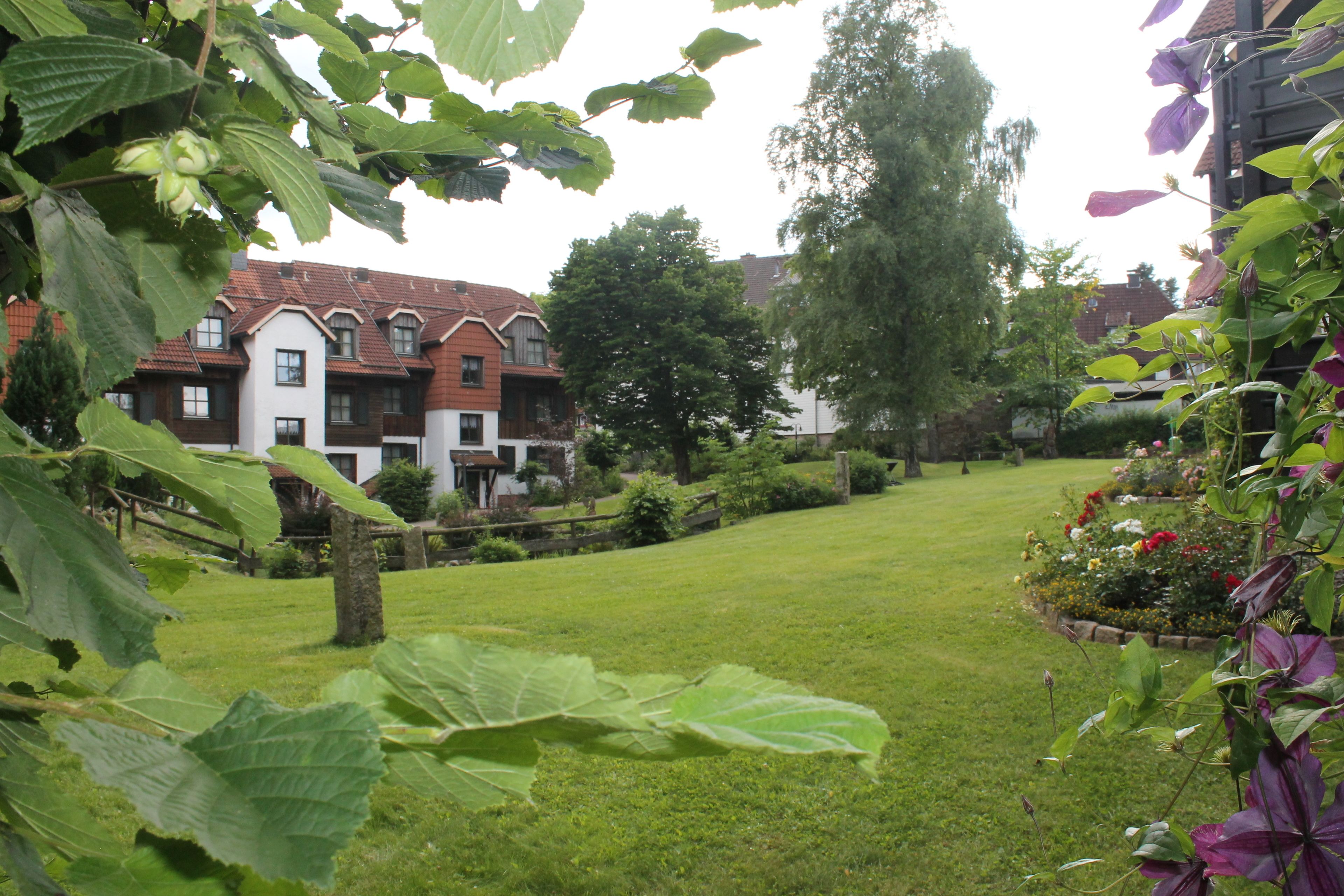 Taman