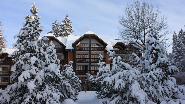 Un albergue con fachada simétrica, varios balcones y árboles cubiertos de nieve al frente.