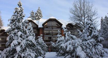 Hapimag Resort Braunlage