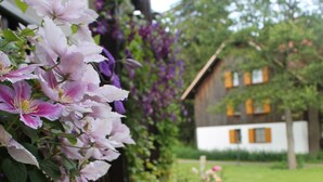 Un jardín con flores y un edificio al fondo.