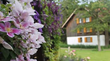 Àrea exterior de l'allotjament