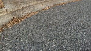 Eksteriør