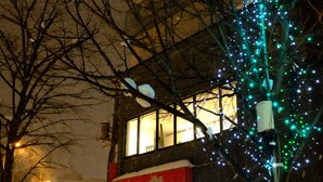 A building with a window and a tree with lights. - Guest House Asahikawa Ride - Hostel (Asahikawa)