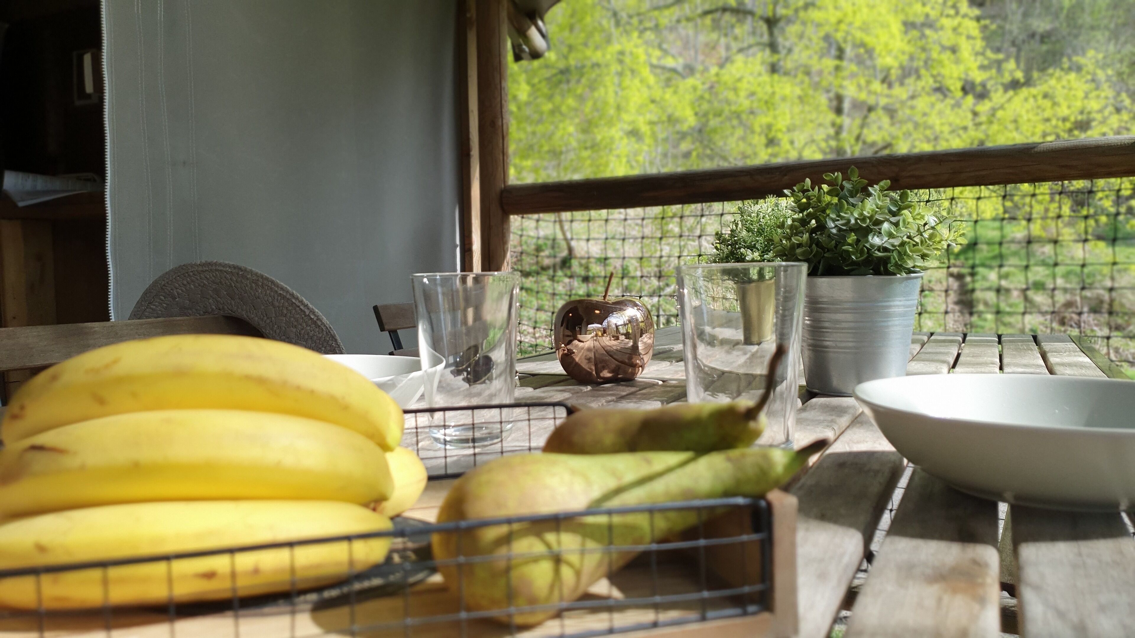 A table with bananas, a coconut, and a glass on a wooden table with a view of greenery through a wire mesh.