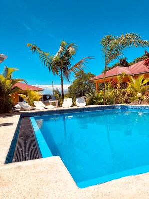 A swimming pool with lounge chairs and palm trees.