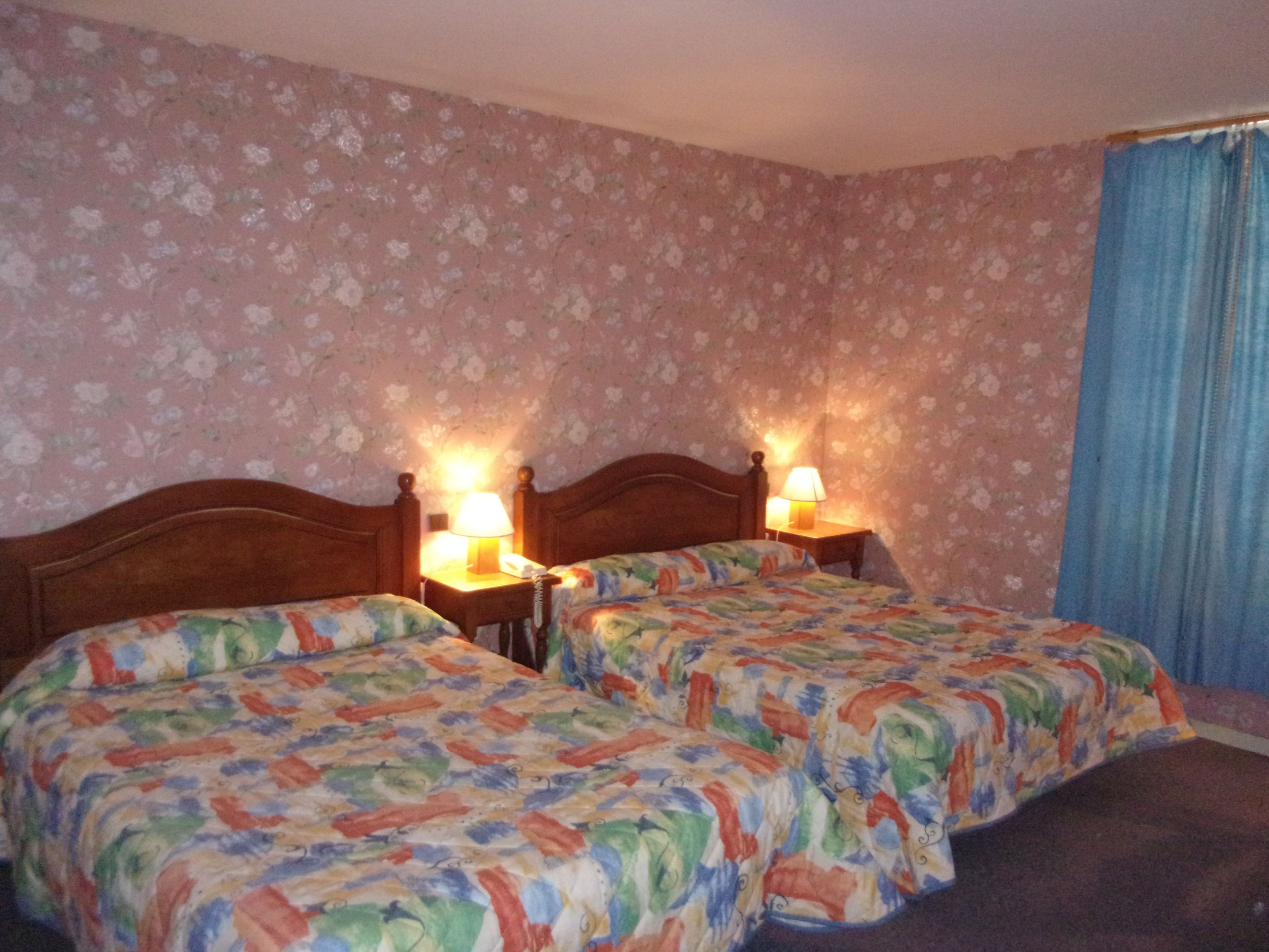 三人房 | 高档床上用品、办公桌、遮光窗帘、熨斗/熨衣板