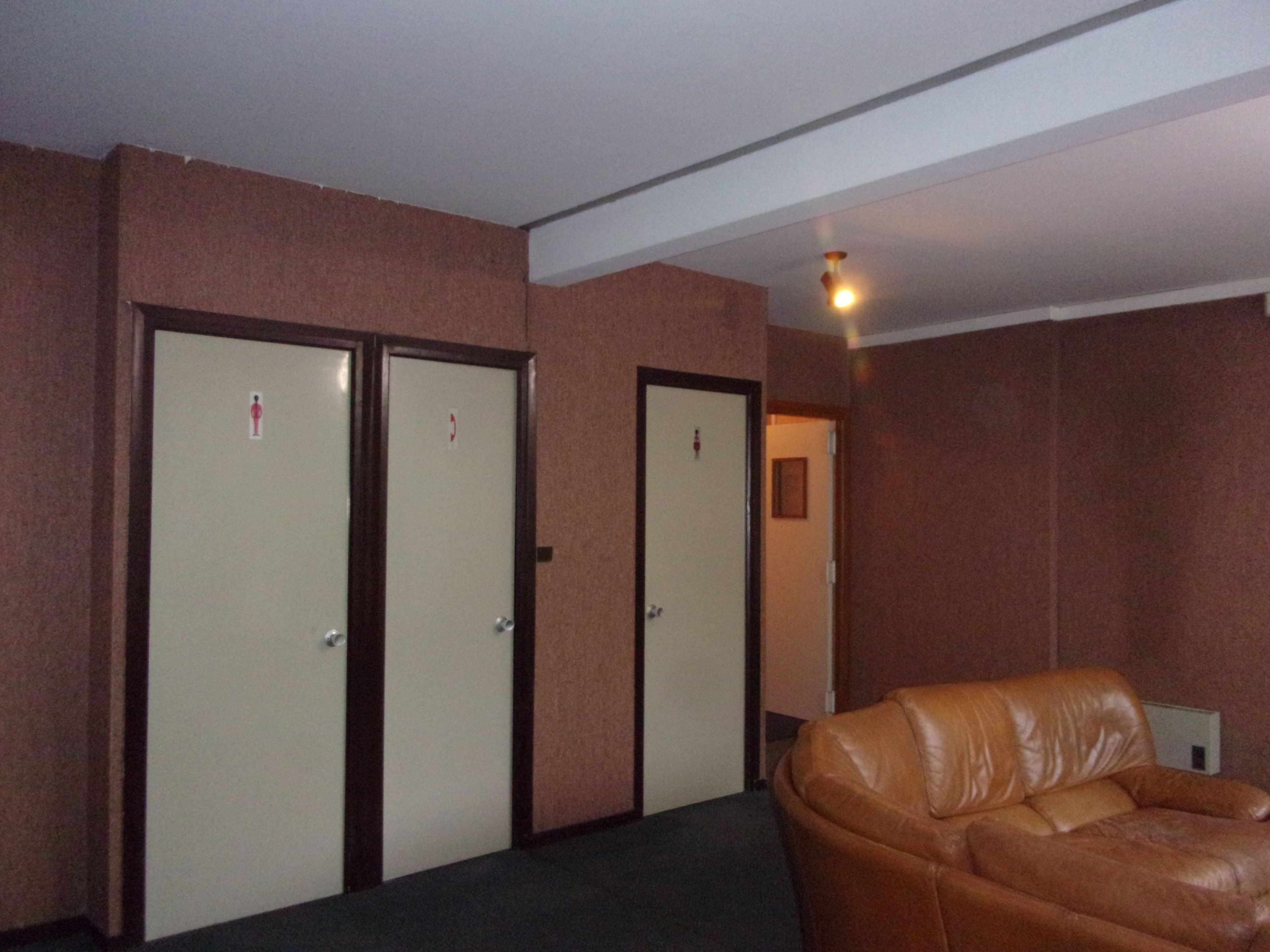 Een kamer met twee gesloten deuren, een bruine leren bank en een plafondlamp.