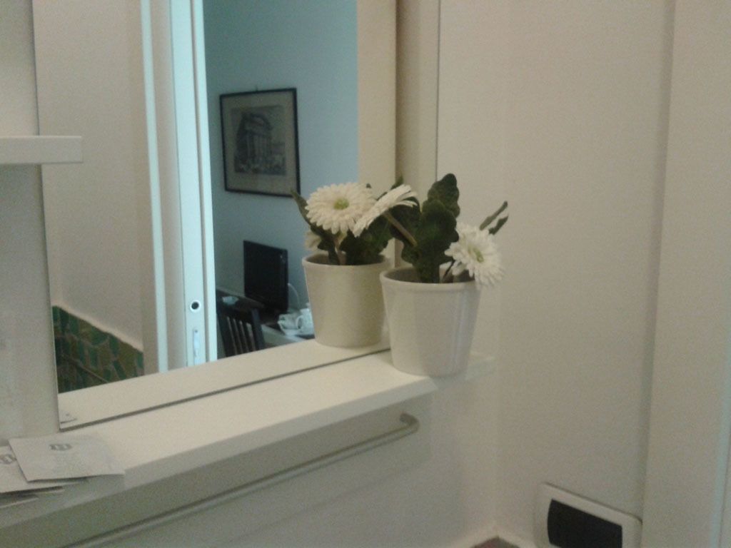 Een badkamer met een witte wastafel, twee potplanten met witte bloemen en een spiegel die een deur en een lijst met een afbeelding aan de muur weerspiegelt.