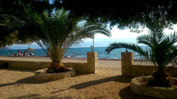 Una playa con palmeras, un muro de piedra y vista al mar.