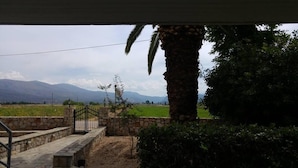 Vista de un paisaje rural con montañas al fondo, un muro de piedra y una palmera.