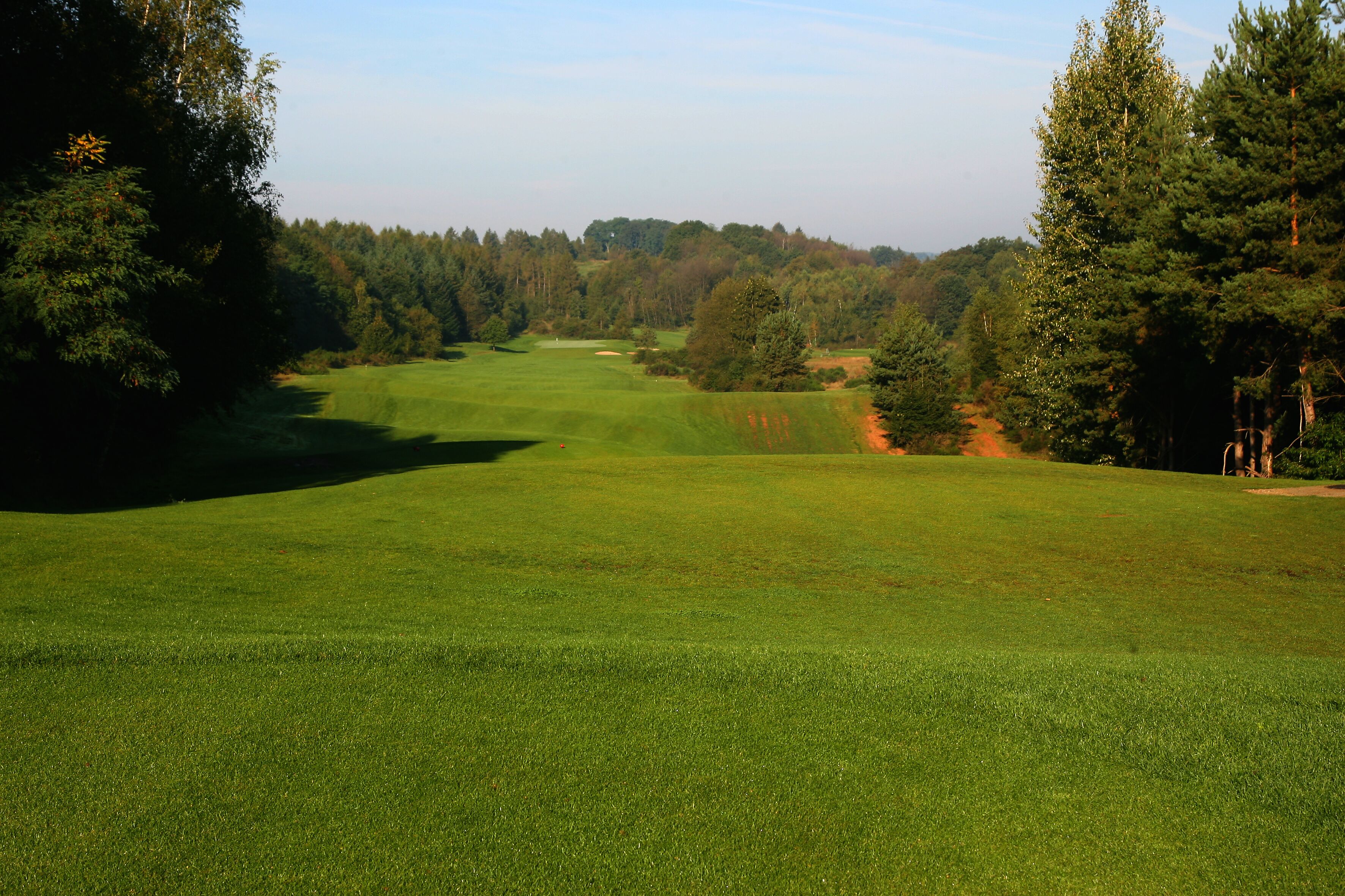 A golf course with a well-maintained green, surrounded by dense trees and a clear sky.