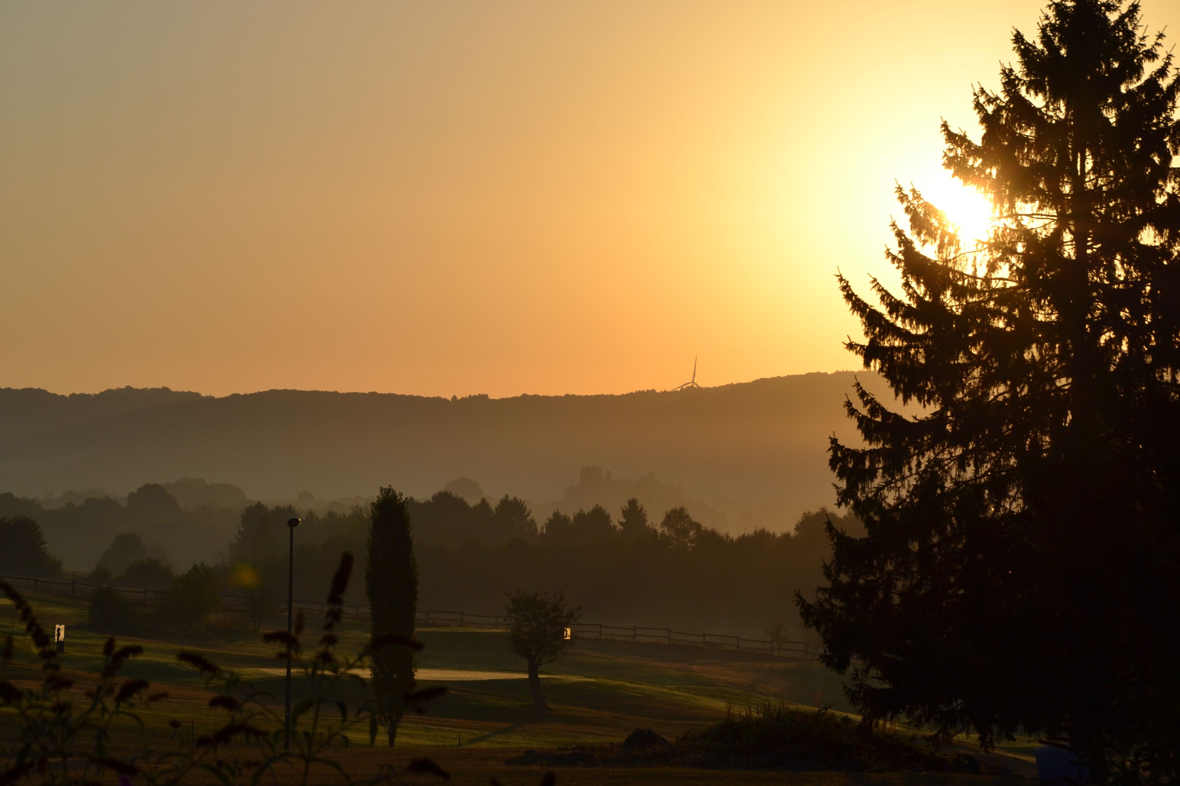 A landscape with a sunrise or sunset, a tree, and a distant fence line.