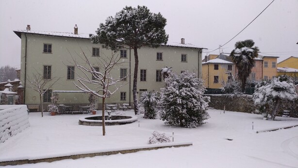 A snow-covered courtyard with a building, a tree, and a small bush. - B&B Principe Calaf 4 (Lucca)