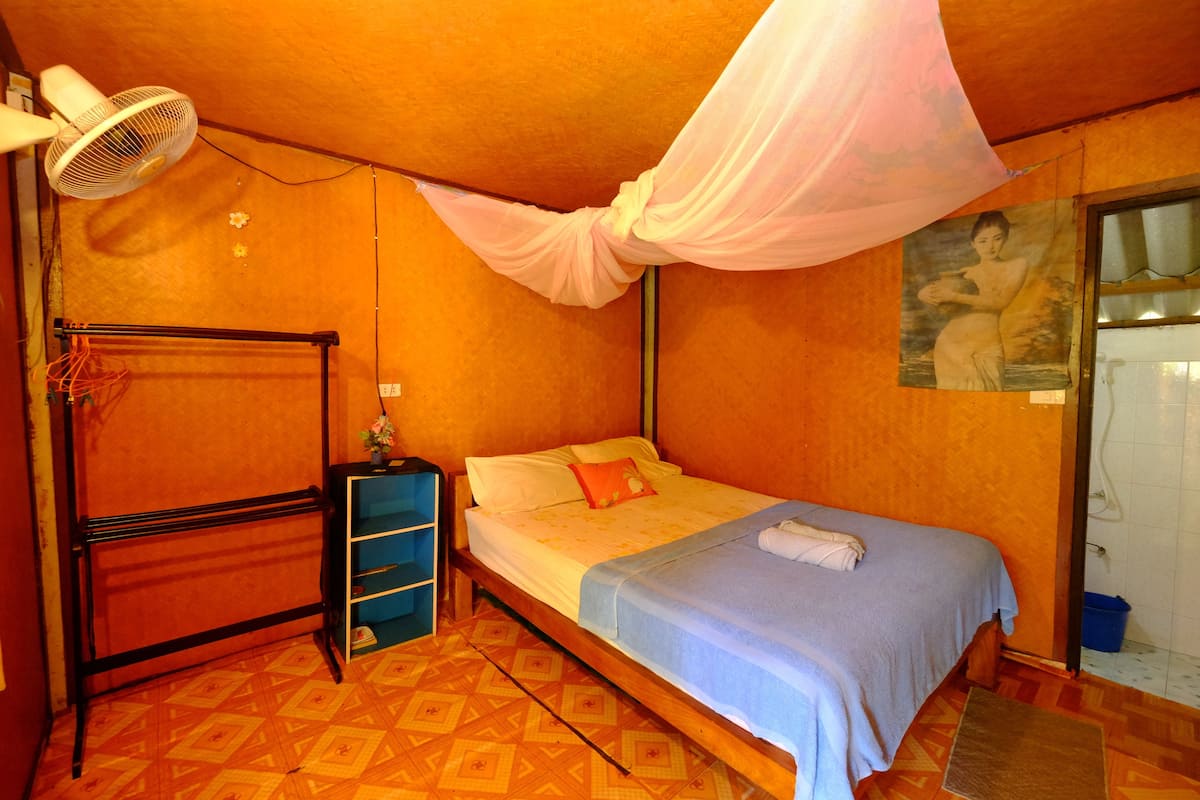A single bed with a blue bedspread, a white pillow, and a pink canopy. There is a standing fan on the left and a blue shelf unit against the wall.