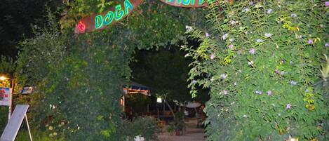 An entrance with a neon sign reading "DOGA PANSYON" amidst lush greenery.
