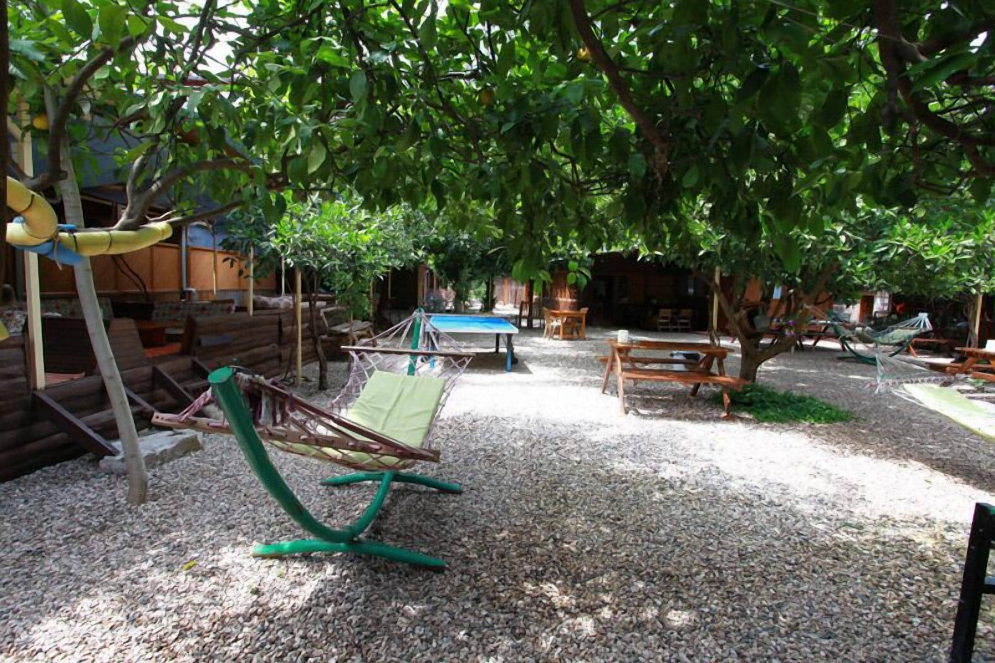 Un parque infantil con columpios, tobogán y mesas de picnic bajo un árbol grande.