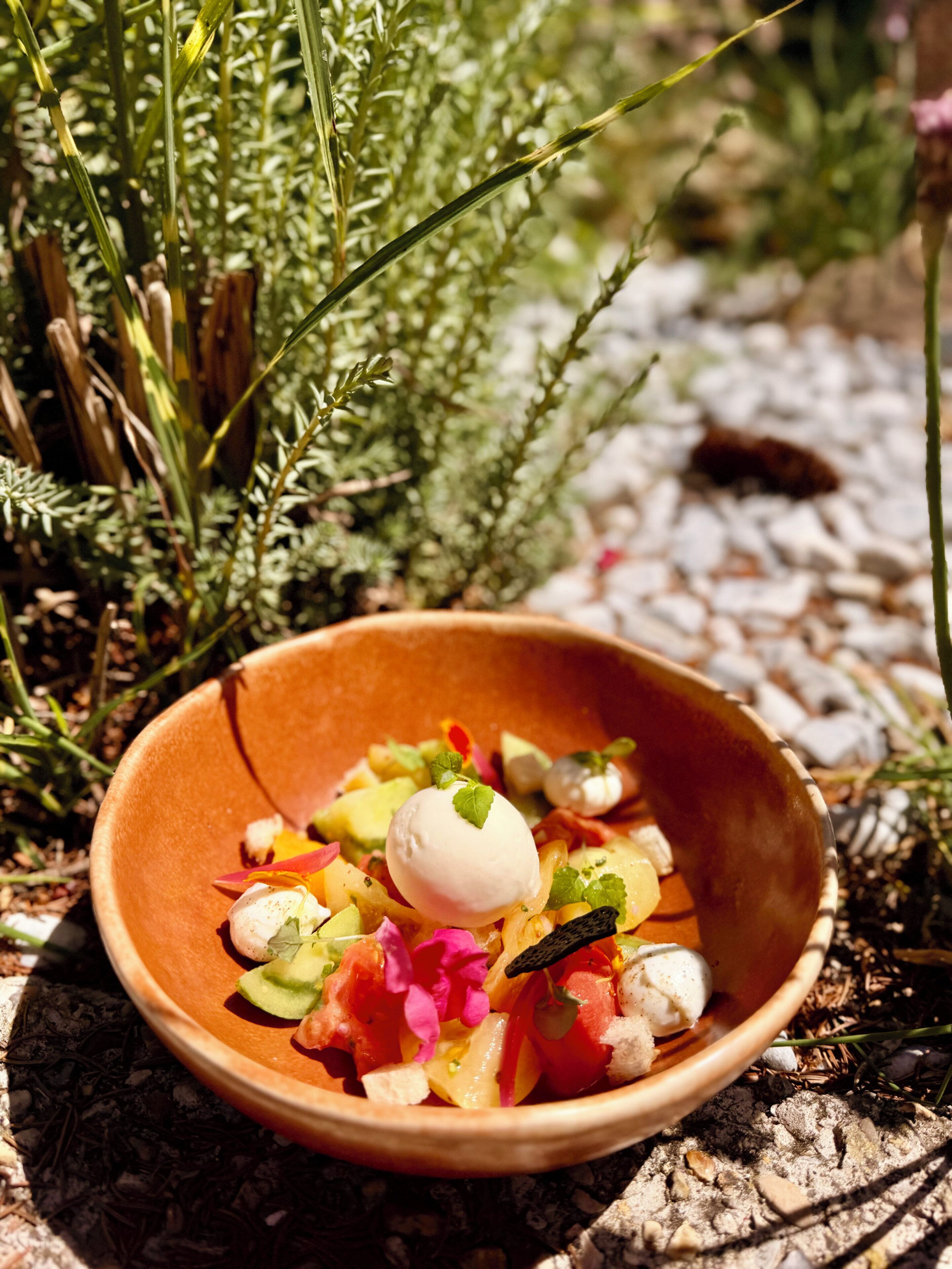 A bowl of food with a variety of ingredients, including a dollop of cream, placed outdoors on a textured surface.